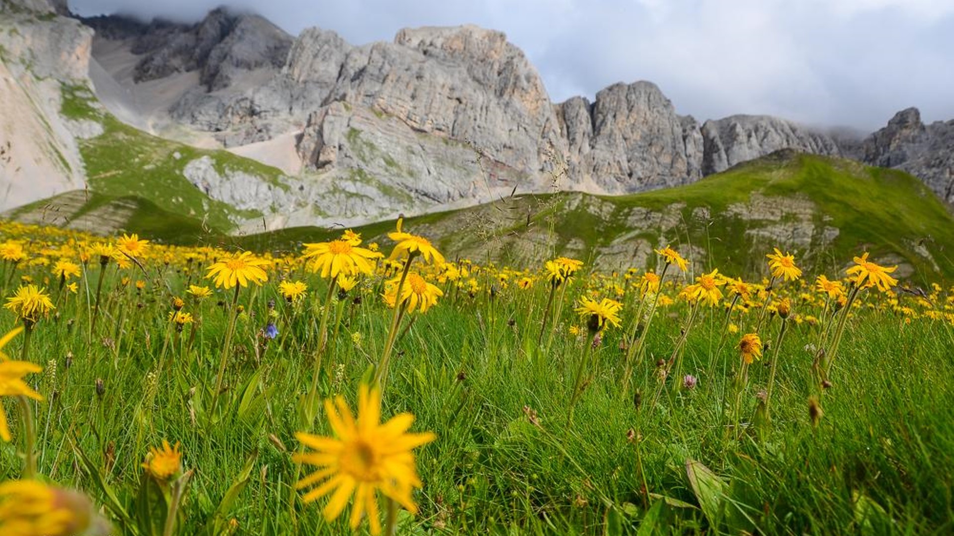 Trekking a Moena - Dolomiti